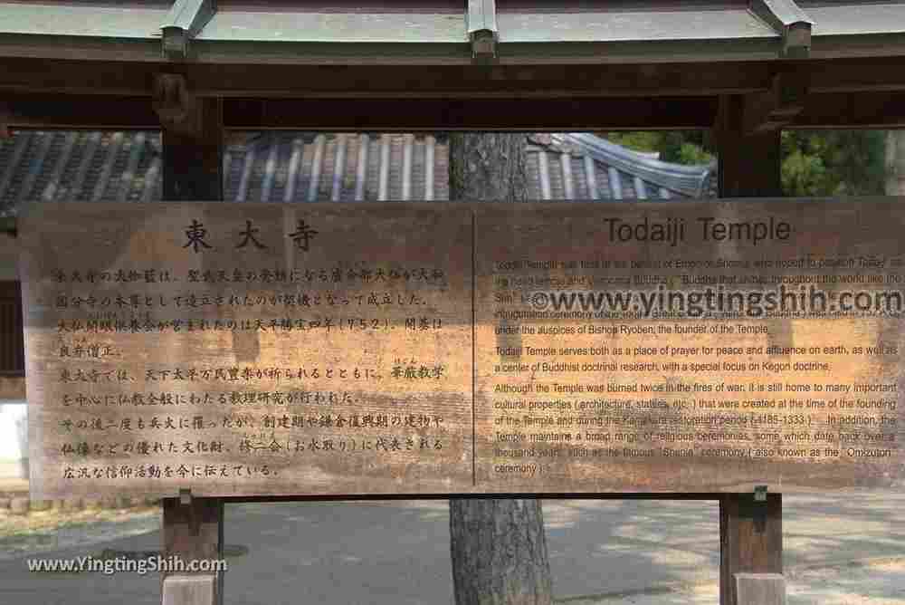 YTS_YTS_20180717_Japan Kansai Nara Todai-ji日本關西奈良東大寺／世界文化遺產082_3A5A7930.jpg