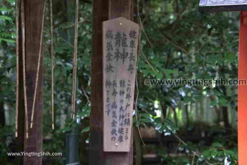 YTS_YTS_20180711_Japan Kansai Kyoto Arashiyama Bamboo Forest ／Nonomiya-Jinja Shrine 日本關西（近畿）京都嵐山竹林小徑、散策路／野宮神社051_3A5A3580.jpg
