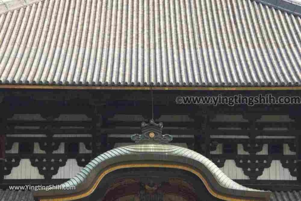YTS_YTS_20180717_Japan Kansai Nara Todai-ji日本關西奈良東大寺／世界文化遺產097_3A5A8095.jpg