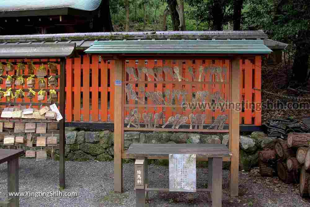 YTS_YTS_20180712_Japan Kyoto Arashiyama Monkey Park Iwatayama 日本京都嵐山猴子公園010_3A5A1321.jpg