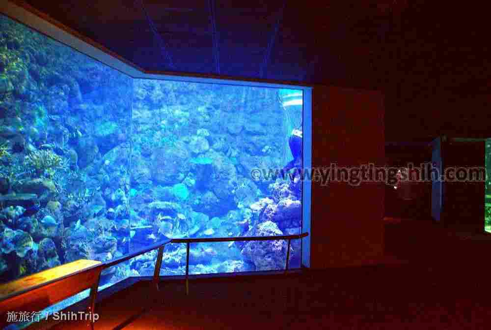 YTS_YTS_20210813_屏東車城國立海洋生物博物館120.jpg