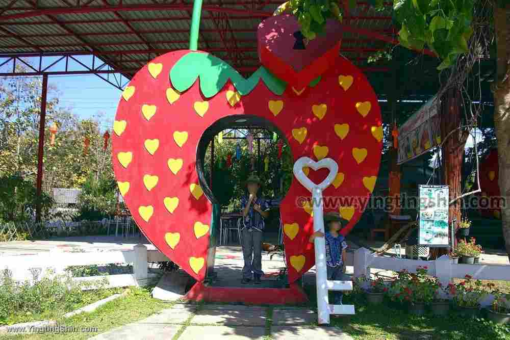 YTS_YTS_20200202_泰國拜縣草莓園Thailand Pai Love Strawberry Pai006_539A4082.jpg