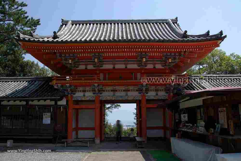 YTS_YTS_20180719_Japan Kansai Wakayama Kishu Toshogu Shrine日本關西（近畿）和歌山紀州東照宮065_3A5A3259.jpg