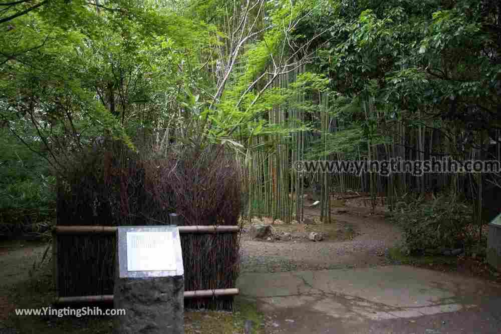 YTS_YTS_20180711_Japan Kansai Kyoto Arashiyama Bamboo Forest ／Nonomiya-Jinja Shrine 日本關西（近畿）京都嵐山竹林小徑、散策路／野宮神社053_3A5A7663.jpg