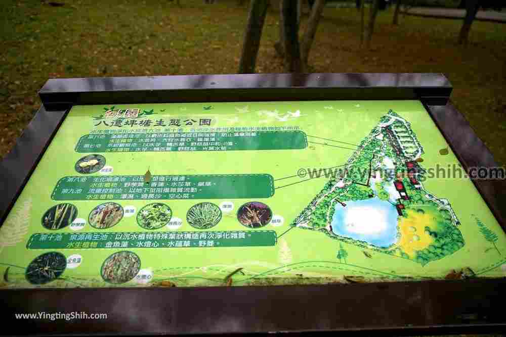 YTS_YTS_20190204_桃園八德埤塘生態公園／TINA廚房Taoyuan Bade Pond Ecology Park019_539A7385.jpg