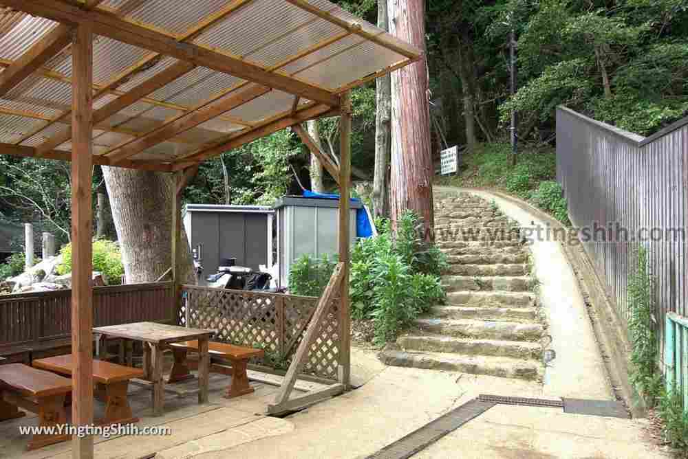 YTS_YTS_20180712_Japan Kyoto Arashiyama Monkey Park Iwatayama 日本京都嵐山猴子公園024_3A5A9625.jpg